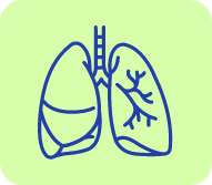 Respiratory Clinical Research Icon